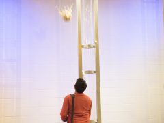 HCLT - Candids-19